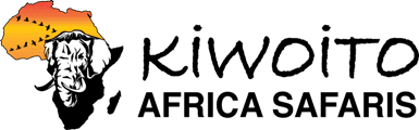 kiwoito africa safaris