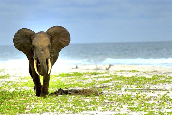 saadani national parks